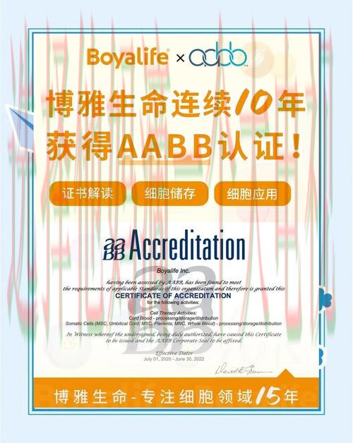 博雅体育网页版登录入口 博雅体育网页版登录入口